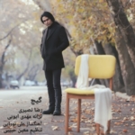رضا نصیری گیج