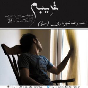 احمدرضا شهریاری غریبم