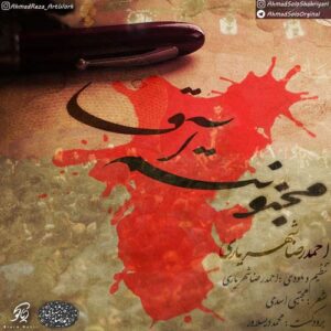 احمدرضا شهریاری مجنونتم آقا