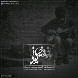 احمدرضا شهریاری نوازنده خیابونی