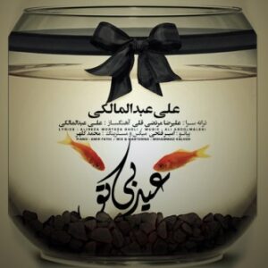 علی عبدالمالکی عید بی تو