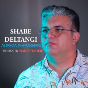 علیرضا شمشکی شب دلتنگی