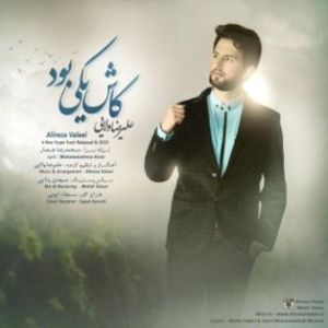 علیرضا ولایی کاش یکی بود
