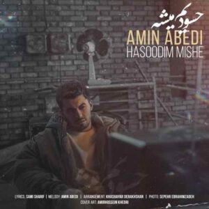 امین عابدی حسودیم میشه