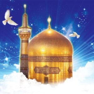 امین فیاض هشتمین ستاره