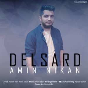 امین نیکان دلسرد