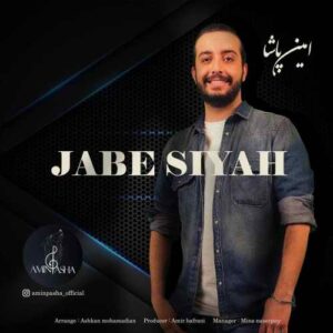 امین پاشا جعبه سیاه