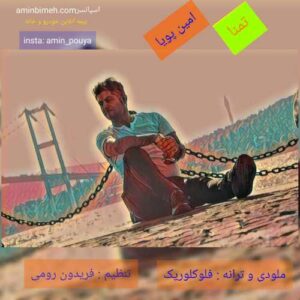 امین پویا تمنا