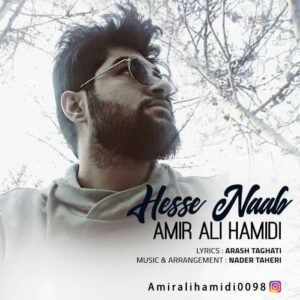 امیر علی حمیدی حس ناب