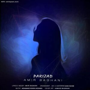 امیر باغانی پریزاد