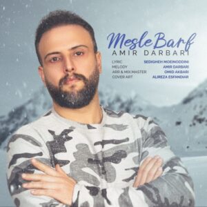 امیر درباری مثل برف