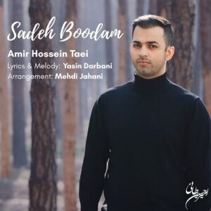 امیرحسین طائی ساده بودم
