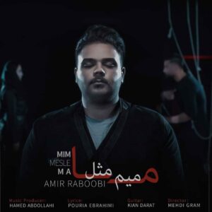 امیر ربوبی میم مثل ما