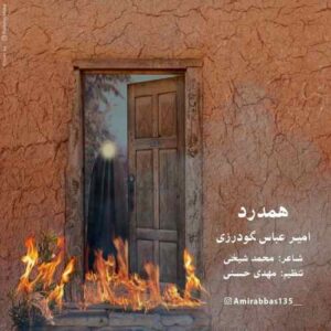 امیرعباس گودرزی هم درد