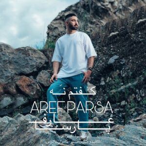 عارف پارسا گفتم نه