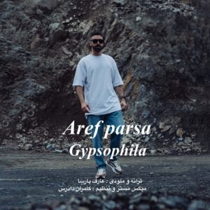 عارف پارسا ژیپسوفیلا