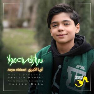آریا اکبری سربازتم به مولا