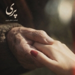 اشکان شاپوری پری