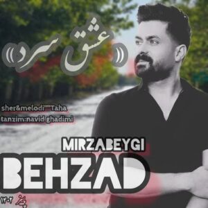 بهزاد میرزابیگی عشق سرد