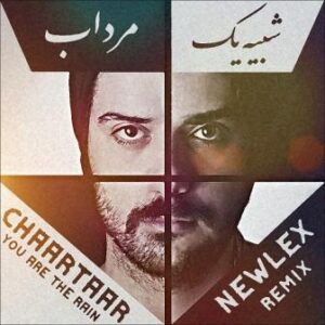 گروه چارتار شبیه یک مرداب