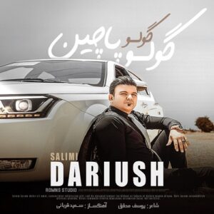 داریوش سلیمی گولو گولو پاچین