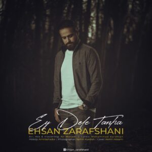 احسان زرافشانی ای دل تنها