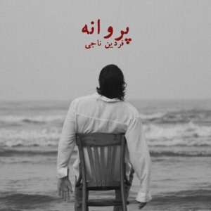 فردین ناجی پروانه
