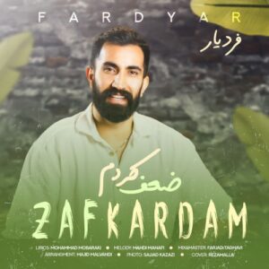 فردیار ضعف کردم