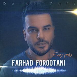 فرهاد فروتنی دلم رفت