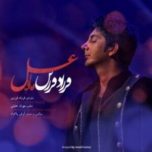 فرزاد فرزین ماه عسل