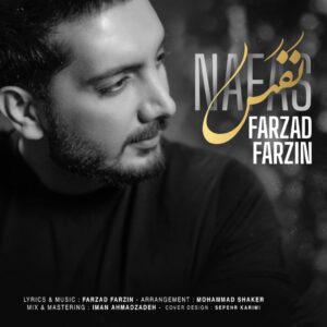 Farzad Farzin Nafas