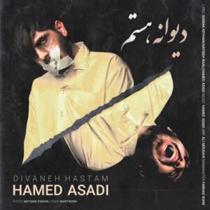 حامد اسدی دیوانه هستم