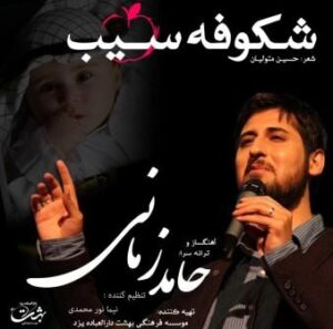 حامد زمانی شکوفه سیب