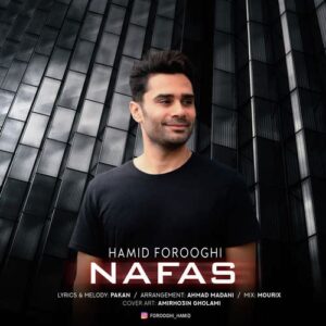 حمید فروغی نفس
