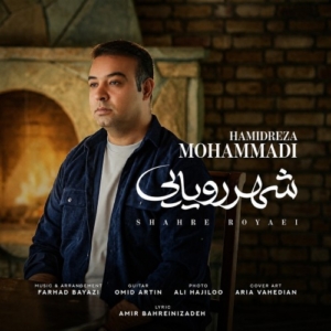 حمیدرضا محمدی شهر رویایی