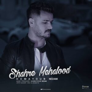 همایون نظامی شهر مه آلود