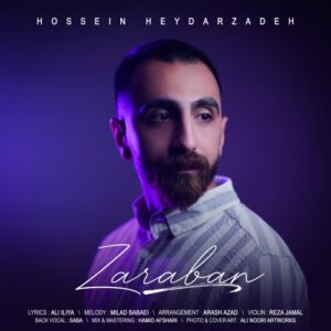 حسین حیدرزاده ضربان
