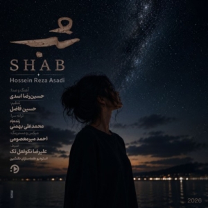 حسین رضا اسدی شب