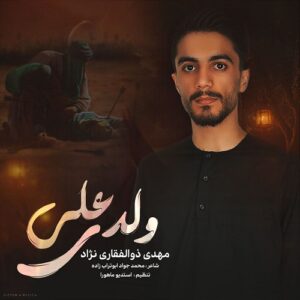 مهدی ذوالفقاری نژاد ولدی علی