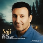 مجید پورشریف ناجی