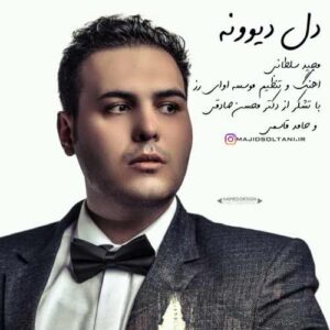 مجید سلطانی دل دیوونه