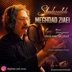 مقداد ضیایی شبزده