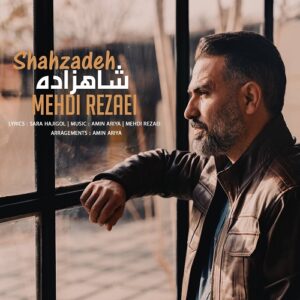 مهدی رضایی شاهزاده