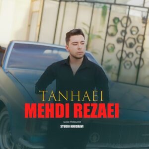 مهدی رضایی تنهایی