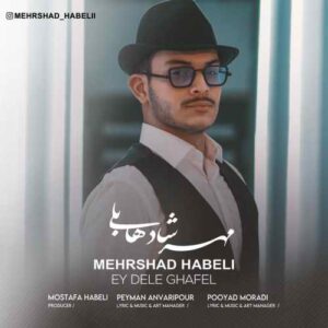 مهرشاد هابلی ای دل غافل