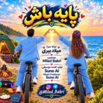 میلاد ببری پایه باش
