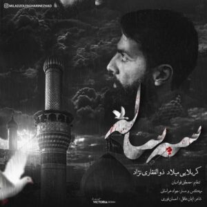 میلاد ذوالفقاری نژاد سه ساله