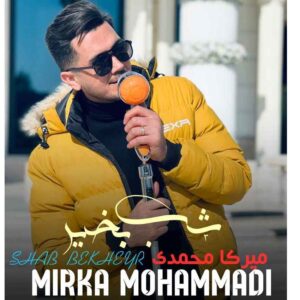 میرکا محمدی شب بخیر
