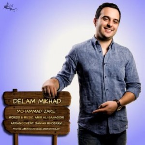 دانلود آهنگ جدید محمد زارع به نام دلم میخواد