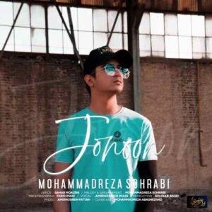 محمدرضا سهرابی جنون